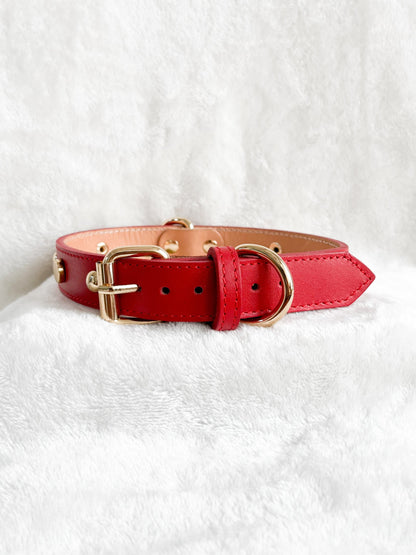 COLLAR Rojo + PLACA