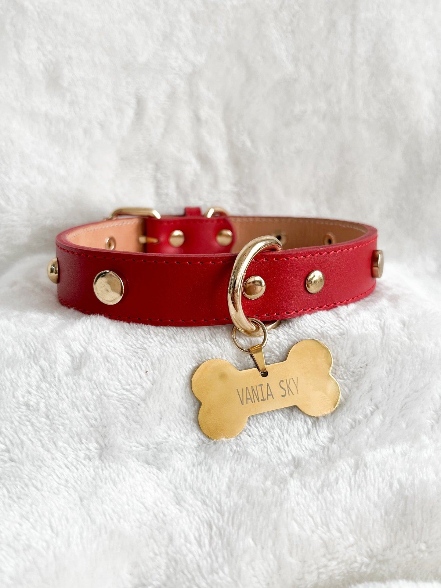 COLLAR Rojo + PLACA