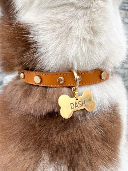 COLLAR Camel + PLACA