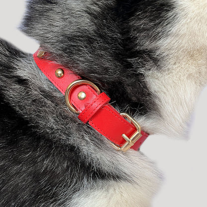 COLLAR Rojo