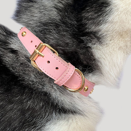 COLLAR Rosa