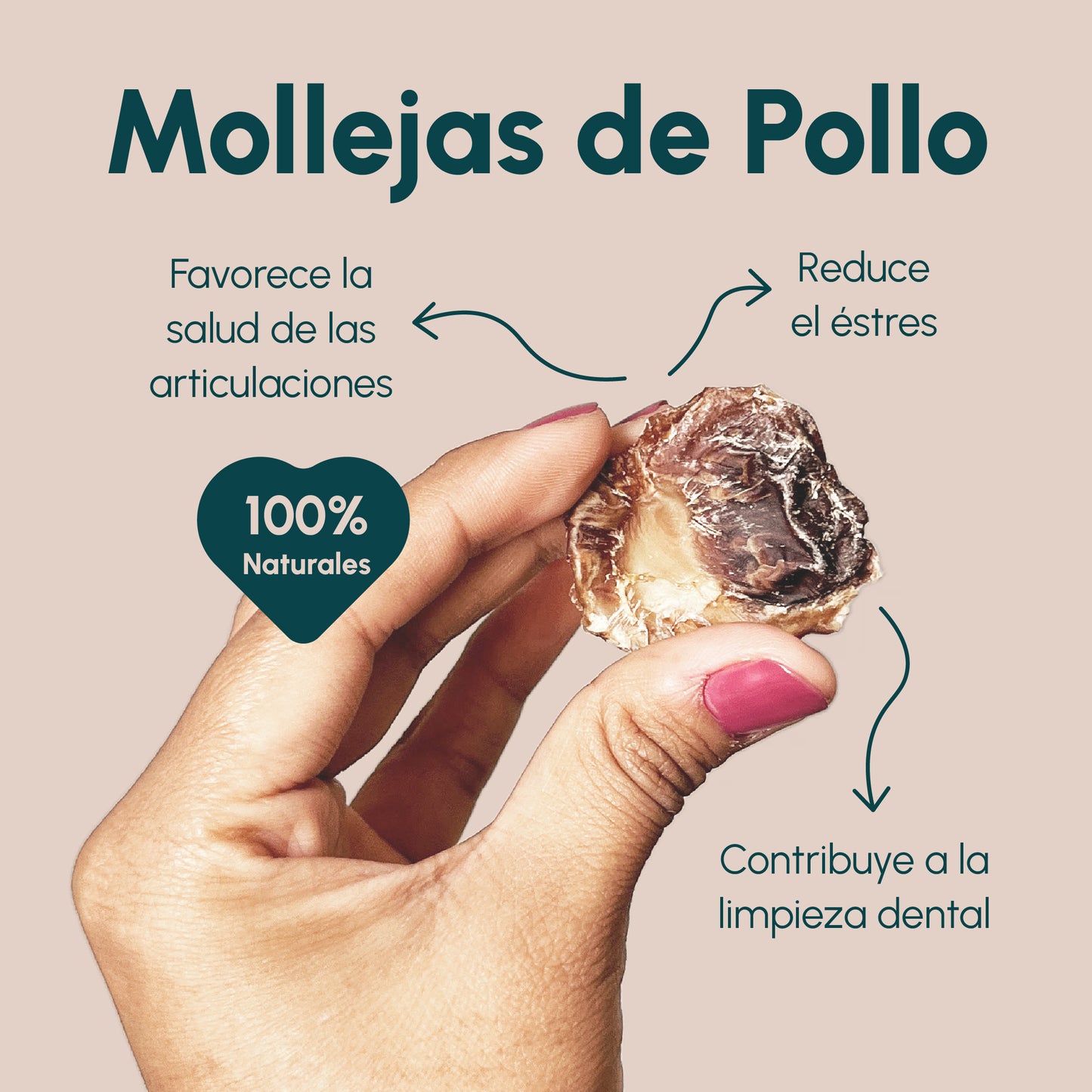 Snack Perros | MOLLEJAS DE POLLO - 120 GR.