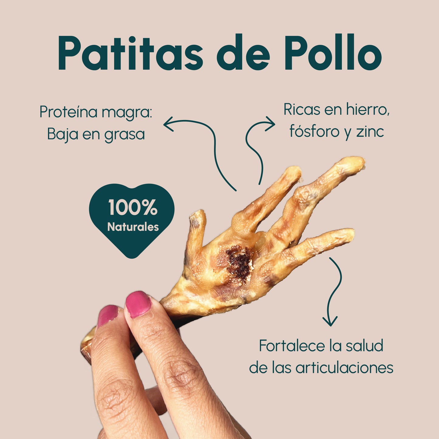 Snack Perros | PATITAS DE POLLO - 12 UNID